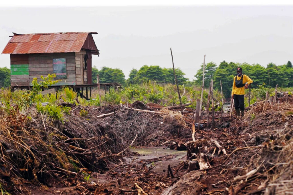 Early tech warning hopes to give Sumatra’s peat community a head start on fires