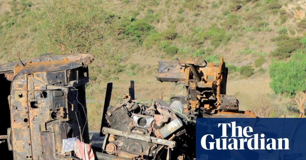 Eritrean aggression must not be overlooked | Ethiopia