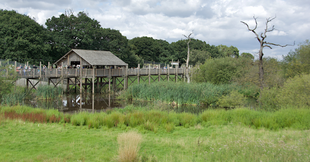 Fake image of wildlife park tiger attack circulates online – Full Fact