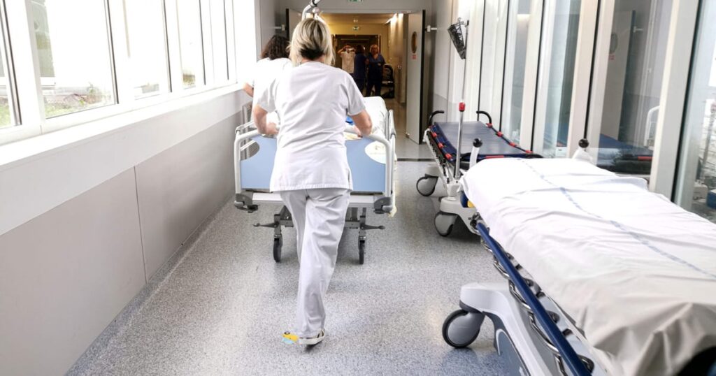 First known human case of Shamonda virus confirmed in France – POLITICO