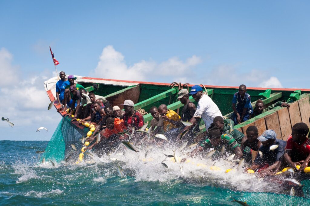 Fishmeal factories take Senegal’s fish from the dinner table