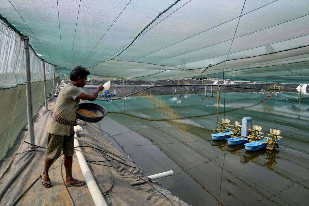 For Indian communities, fishmeal factories bring pollution, danger and protests
