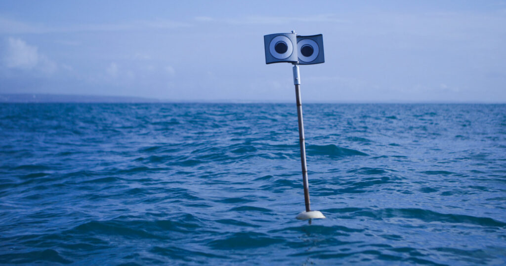 Googly-eyed buoys and kites help keep seabirds out of fishing nets, study finds