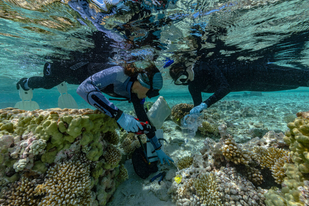 How Rewilding Could Help Atoll Islands Keep Pace With Rising Seas