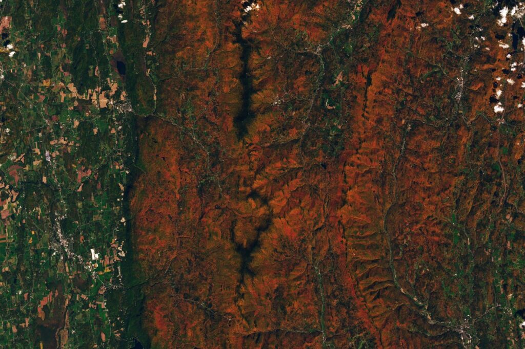 Hunting Red Leaves with Satellites