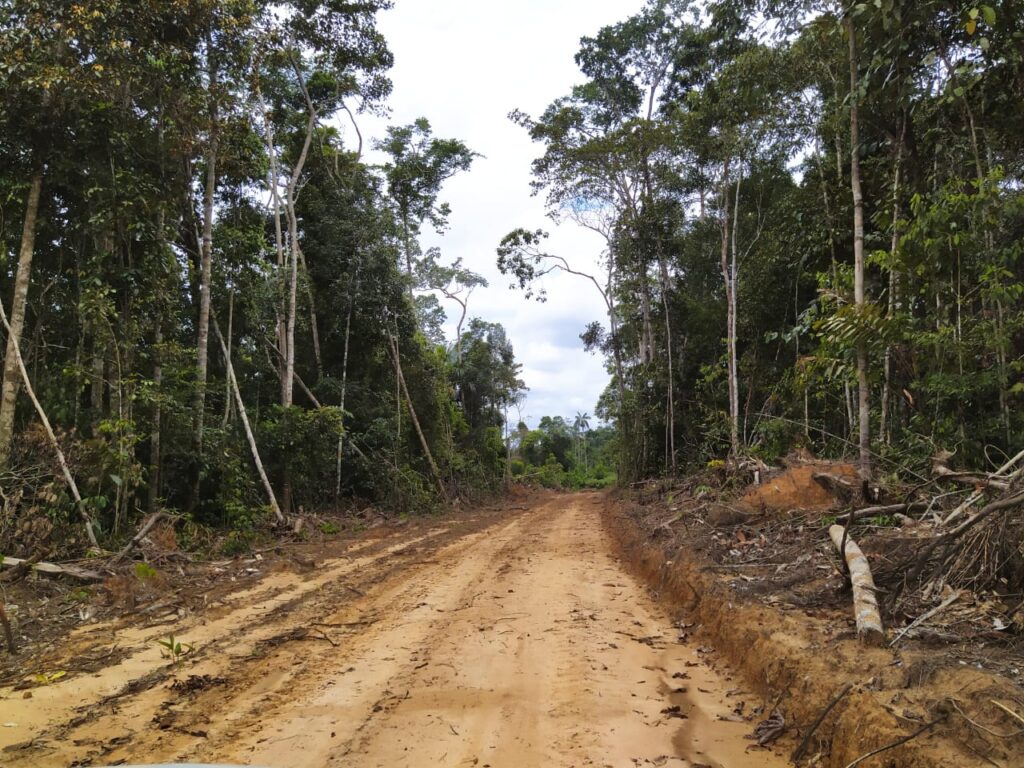 In Brazil’s Acre, calls for new roads clash with deforestation commitments