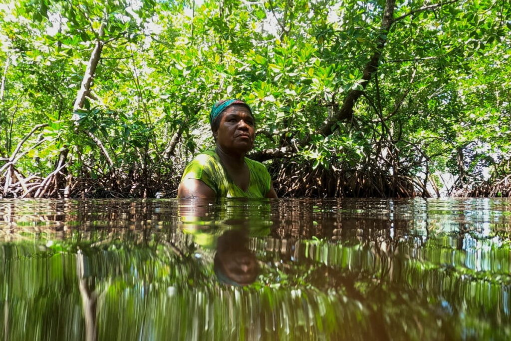 International pledge to fund forest rights exceeds target, but direct funding remains low