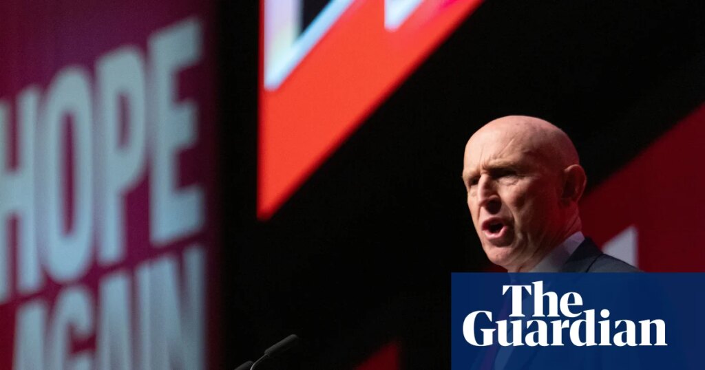 Labour figures uneasy about Healey’s ‘underpowered’ approach to budget | John Healey
