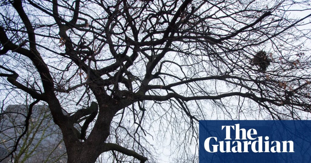 Loss of green space could be issue that decides Holborn and St Pancras byelection | Holborn and St Pancras byelection