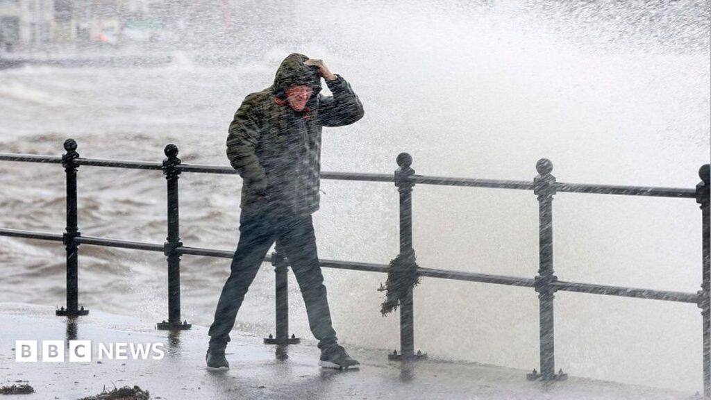 Man killed by falling tree as Storm Boelo brings harsh weather to UK