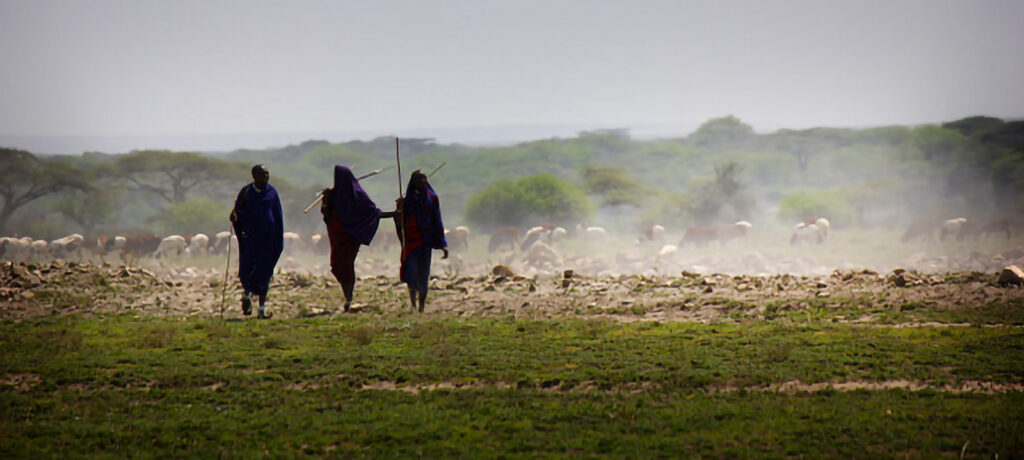 Navigating crisis and opportunity in conservation funding (commentary)