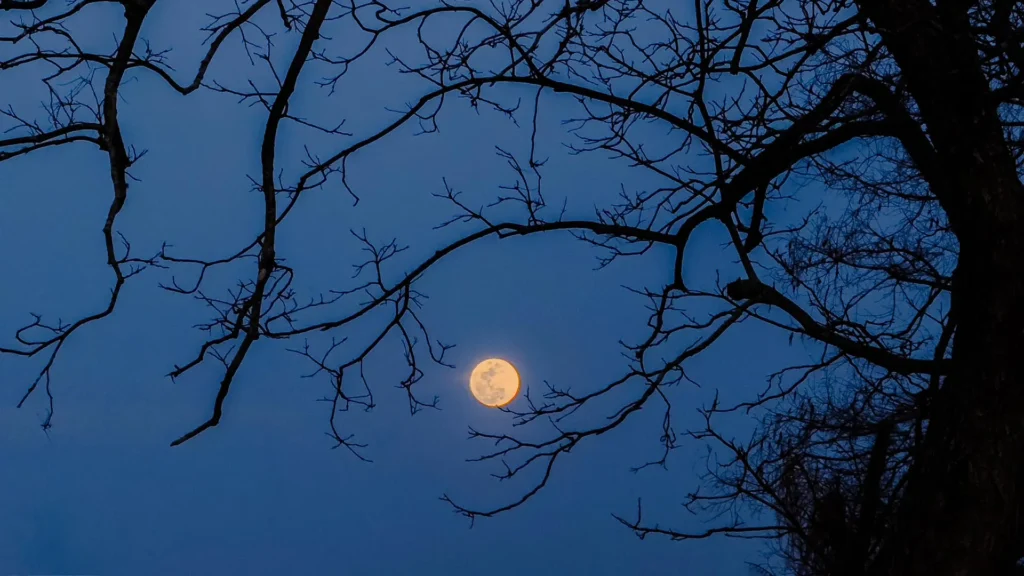 October’s night sky is full of cosmic tricks and treats