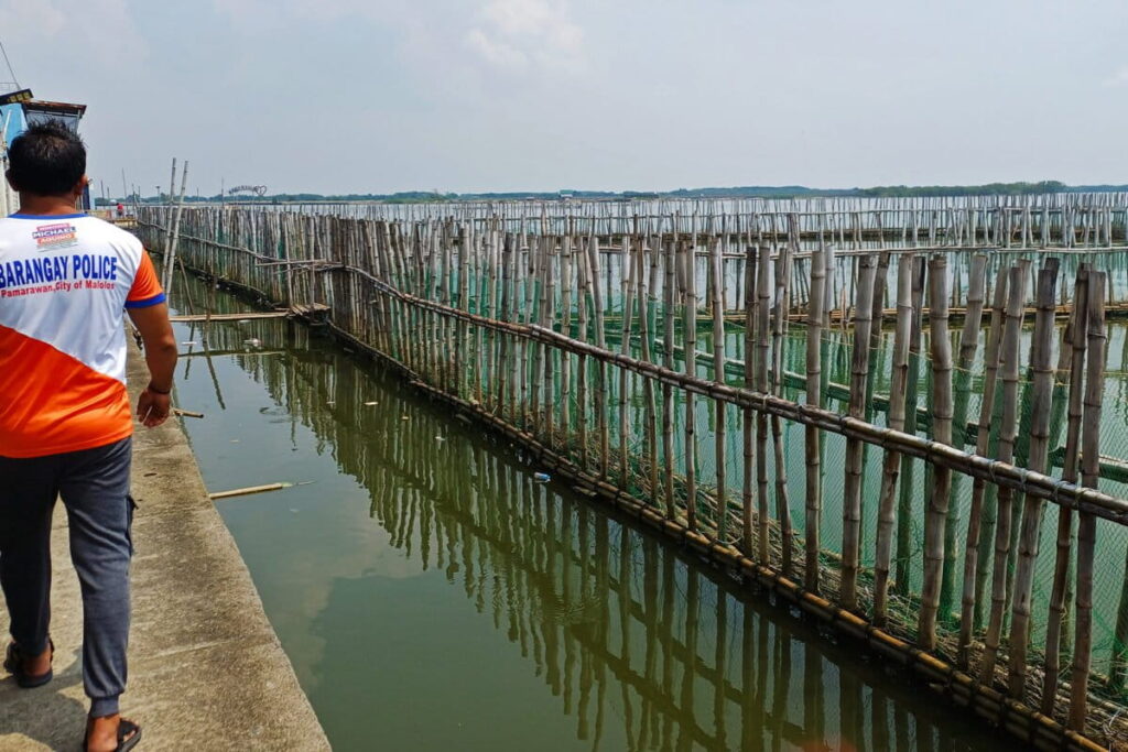 Philippine village uses nature to defend against floods with bamboo, shells and husks