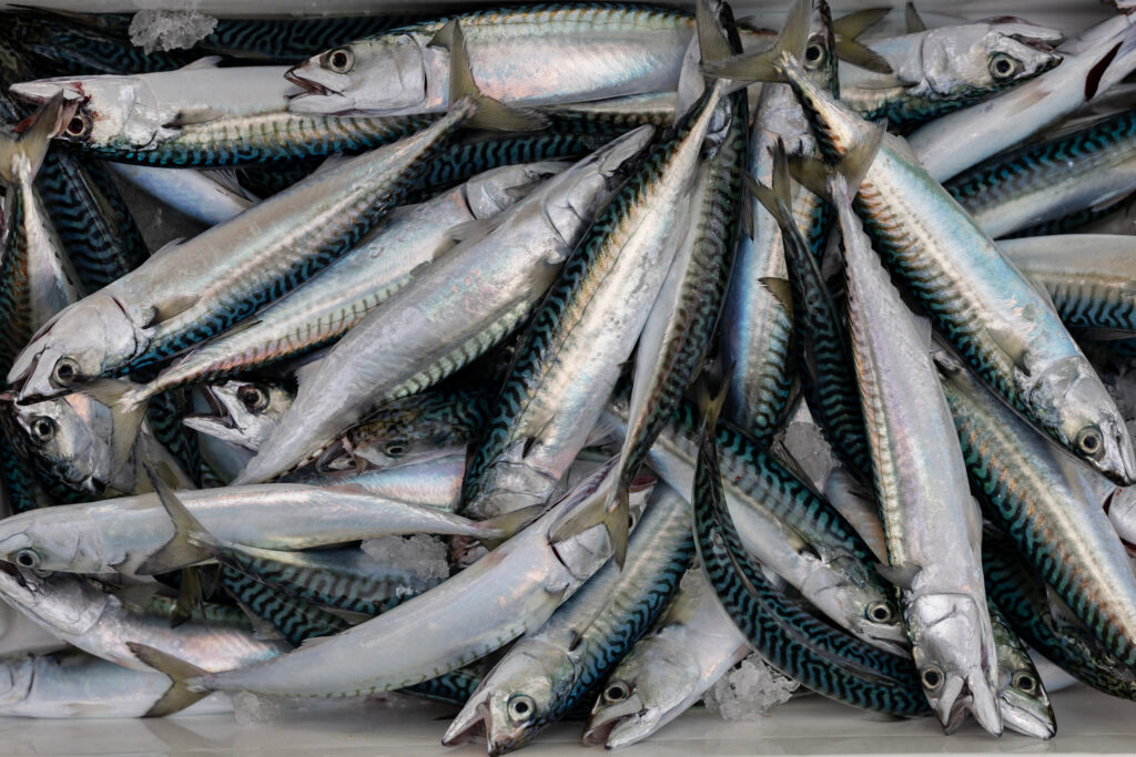 Retailers Warn Europe’s Fishing Industry to Stop Overfishing