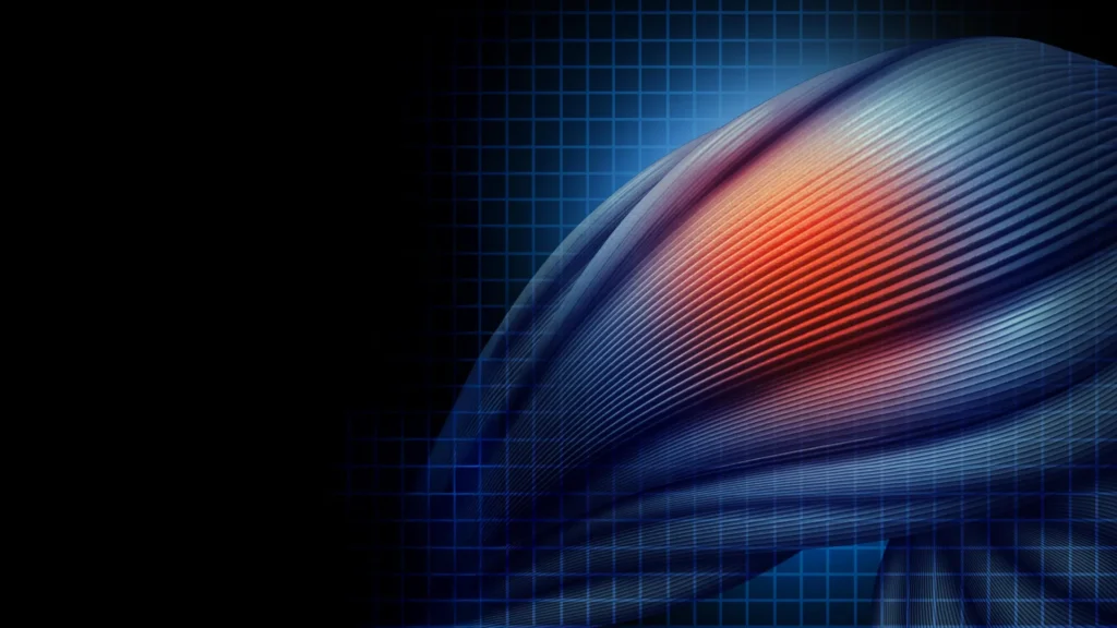 Scientists finally uncover why statins can cause muscle pain