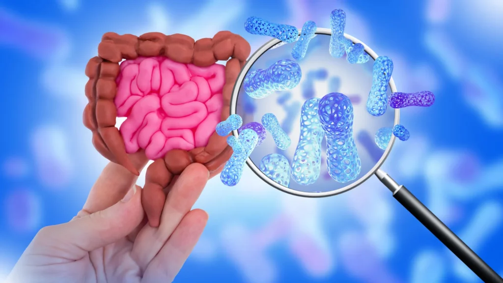 Scientists tested 39 sweeteners and uncovered surprising gut effects