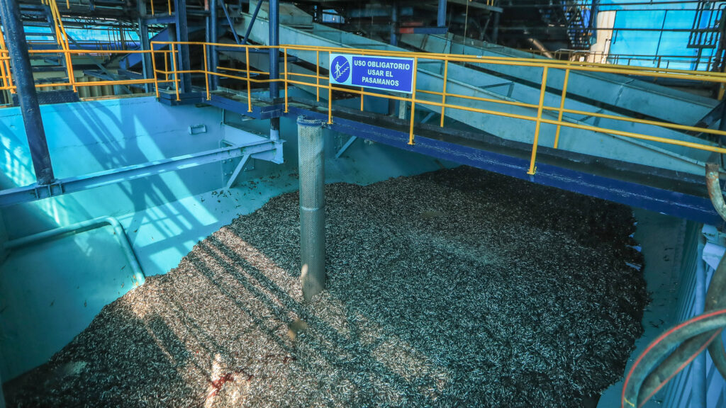 The Fishfeed Trap – Inside Climate News