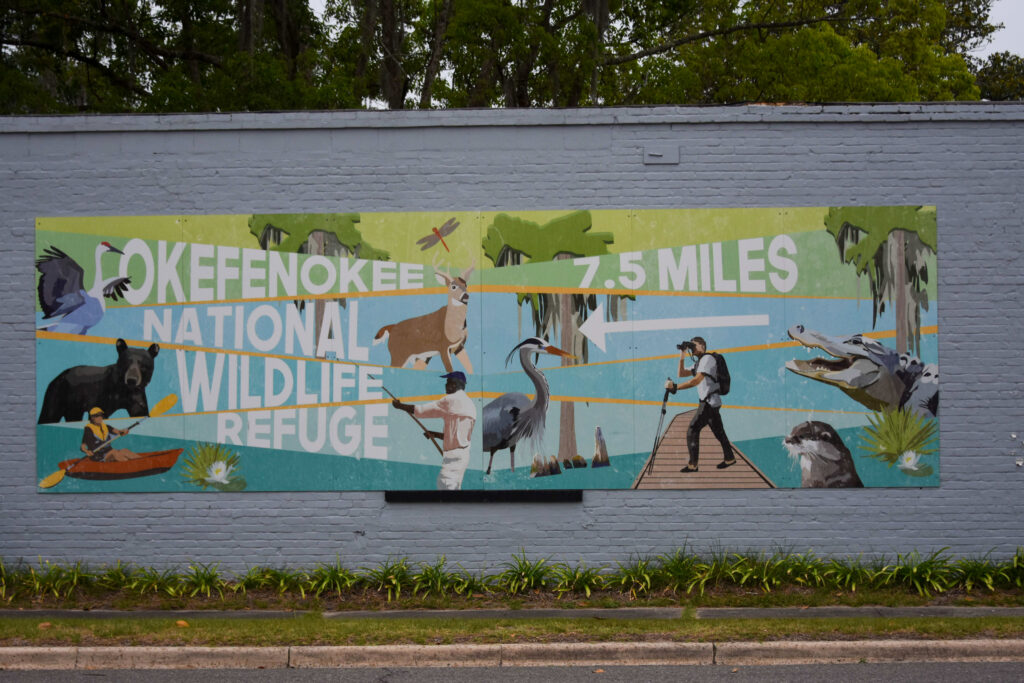 The Okefenokee’s Next Chapter – Inside Climate News