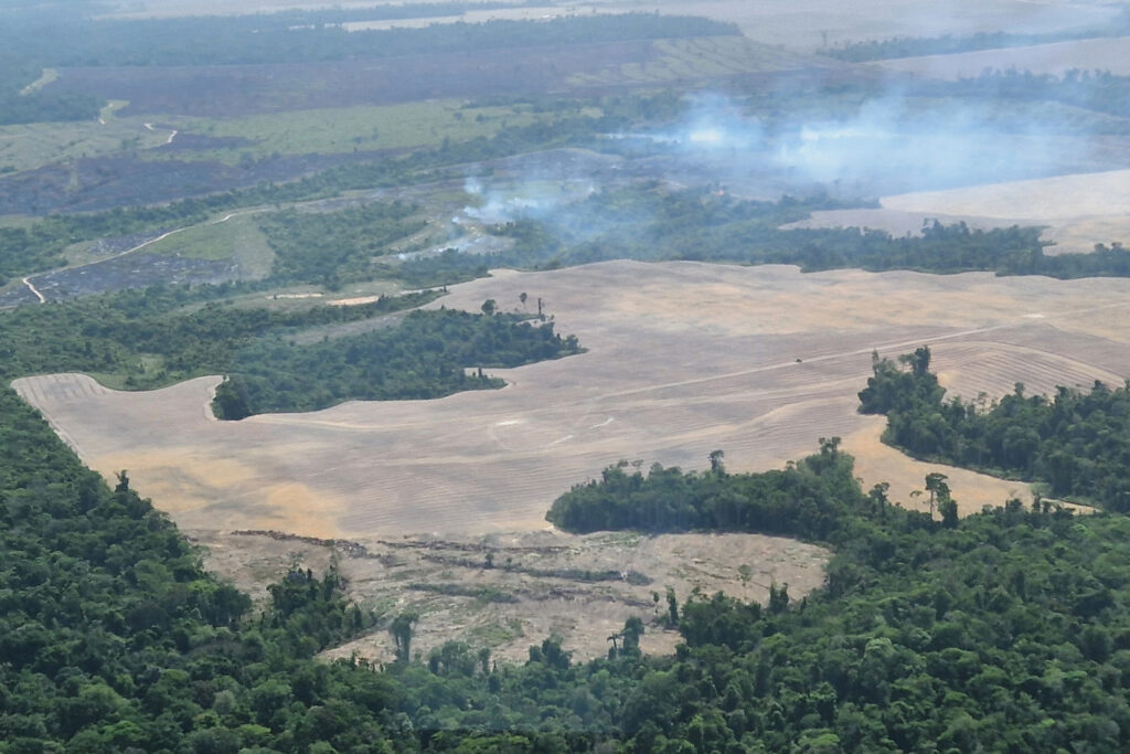 The World Bank Has Withdrawn a Major Loan to an Agribusiness Tied to Deforestation