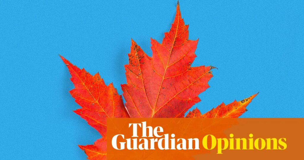 The hill I will die on: Pumpkin-spiced latte is a con. It’s time to put an end to Big Autumn | Chloë Hamilton