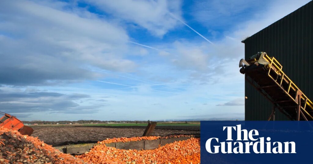 Three ways to boost the UK’s fragile food security | Food security