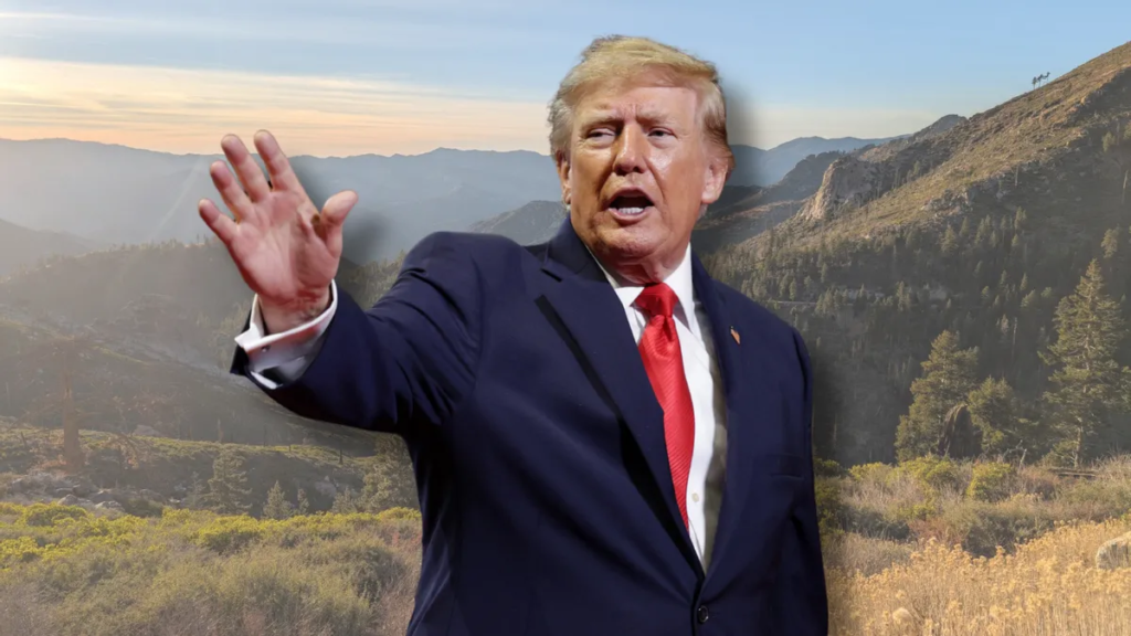 Trump order fast-tracks logging on federal lands, but posts exaggerate scale