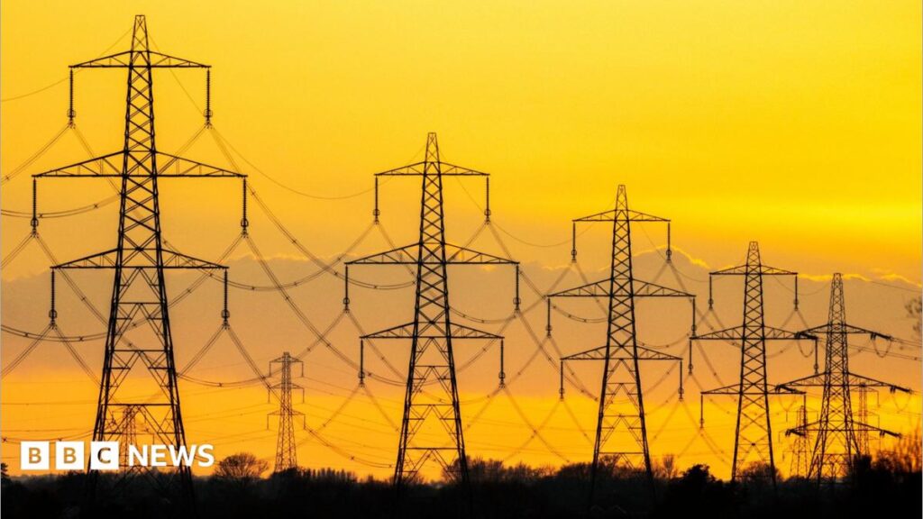 Wales could ban steel pylons as government launches consultation