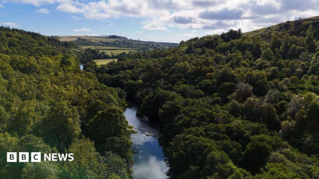 Wildlife trusts secure £30m Rothbury Estate purchase