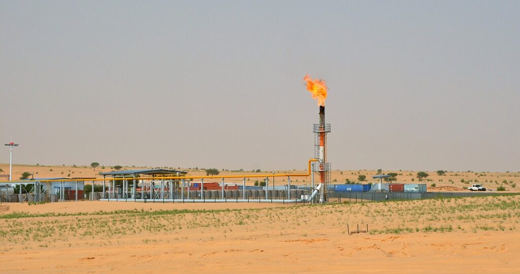 ‘Exceptionally severe’ oil well eruption in Niger raises fears for threatened desert wildlife