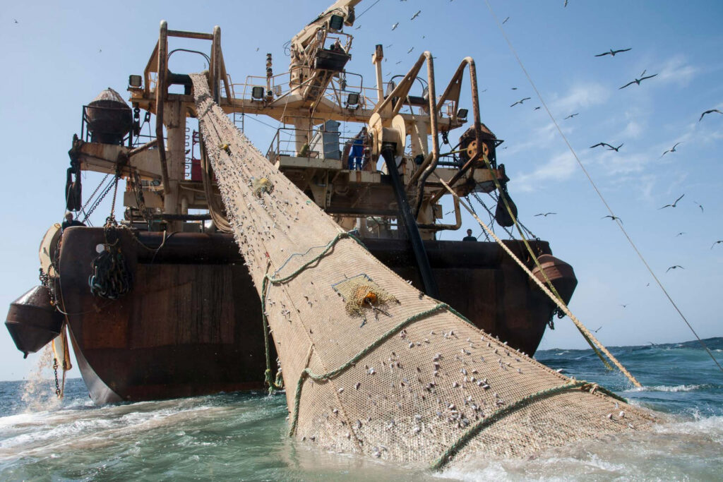 ‘Mega-Industrial’ Trawlers Threaten Europe’s Ocean Health