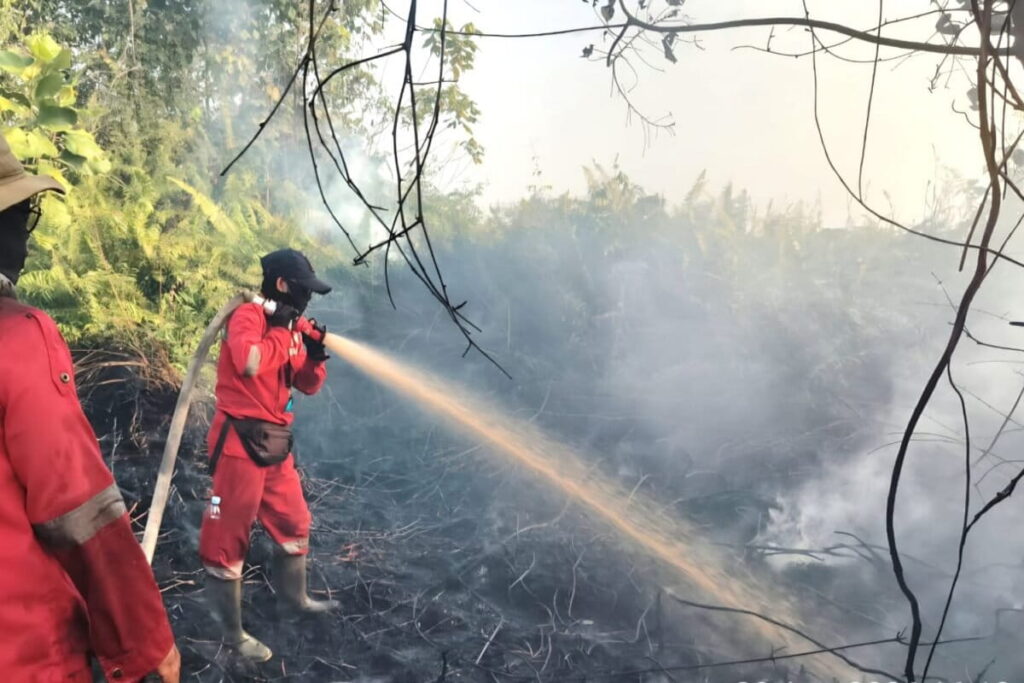 ‘Perpetuating stupidity’: Indonesia comes under fire for response to burning and haze
